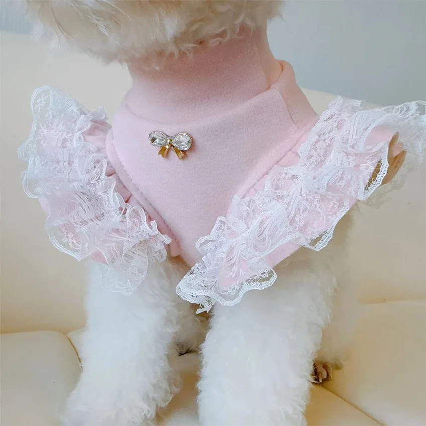Lace Teddy Lingerie - Одежда для домашних животных, осенне-зимняя базовая